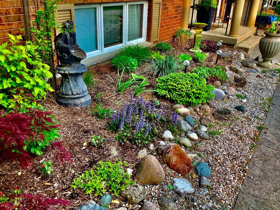 foundation garden bed with small plants