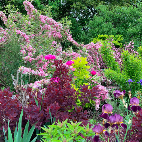 wide view of the garden with lots of bright flowers and colorful foliage