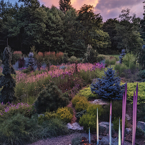 meadow garden at sunset