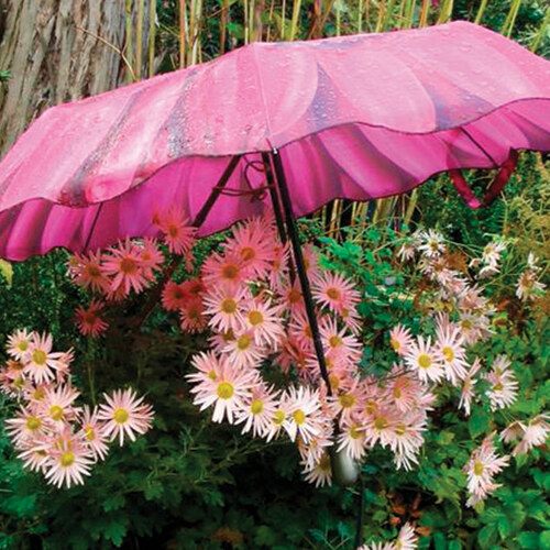 pink umbrella over pink flowers