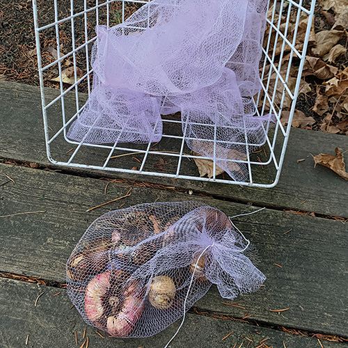 mesh bags for winter bulb storage