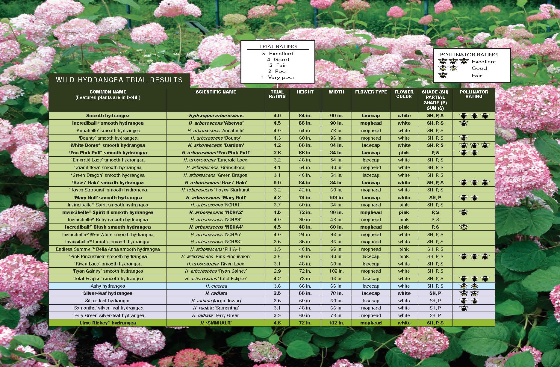 native hydrangea trial results chart