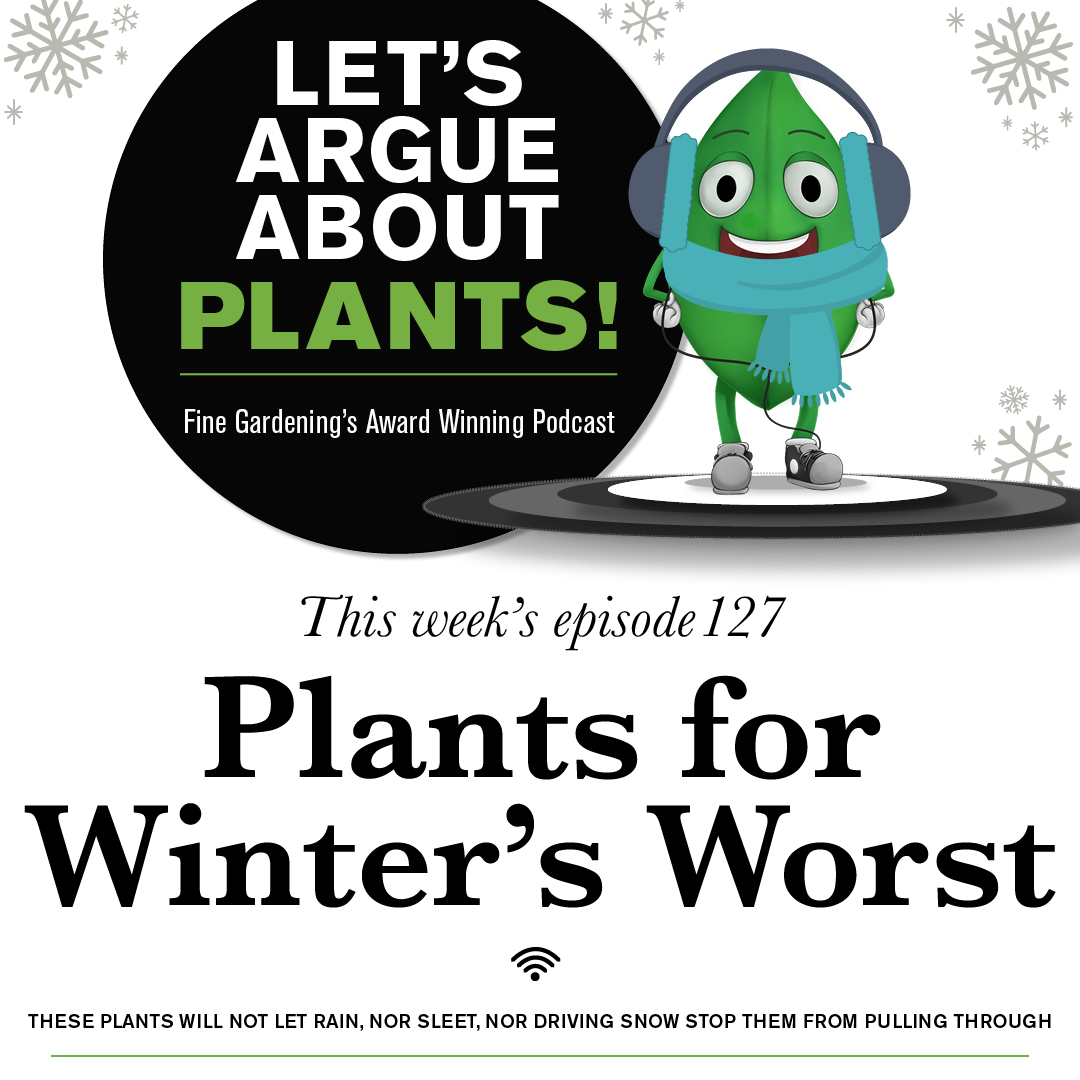 Episode 127: Plants for Winter’s Worst