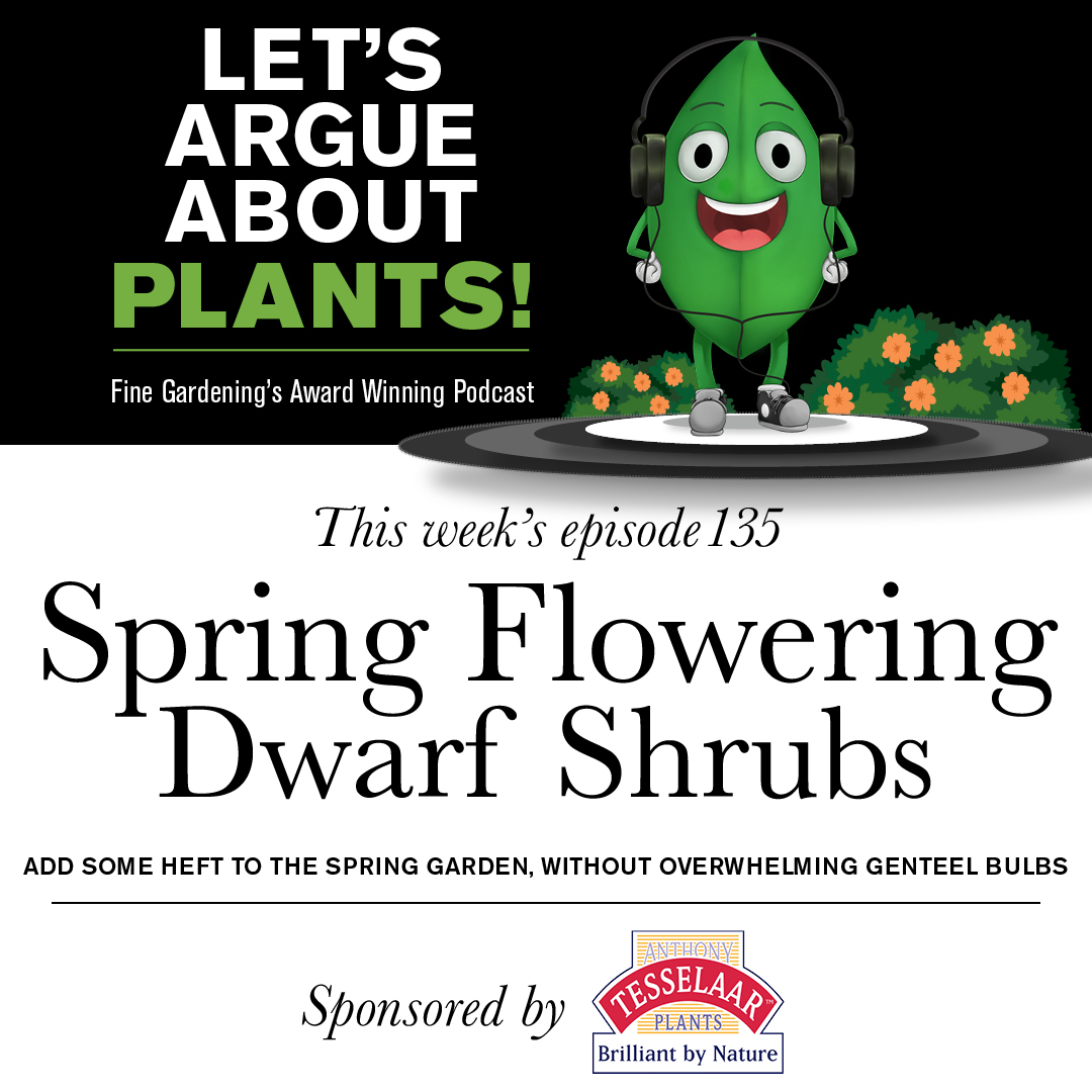 Episode 135: Spring Flowering Dwarf Shrubs