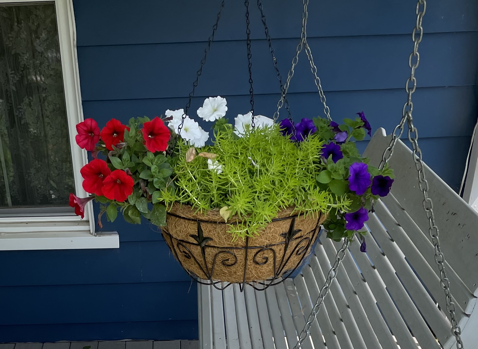 hanging basket with red white and blue flowers