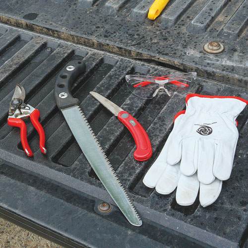 pruning tool kit