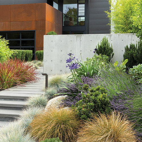 urban garden design for a modern home